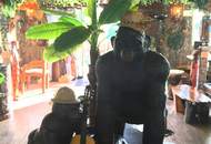 "Die African Queen auf der Donau deine Chance auf Kult Gastro mit Traumlage"