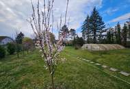 Haus mit viel Potential und großem Garten