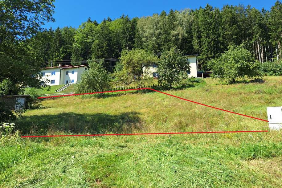 Baugrundstück in ruhiger Lage: Reichenau im Mühlkreis erwartet Sie, Grund und Boden-kauf, 110.000,€, 4204 Urfahr-Umgebung