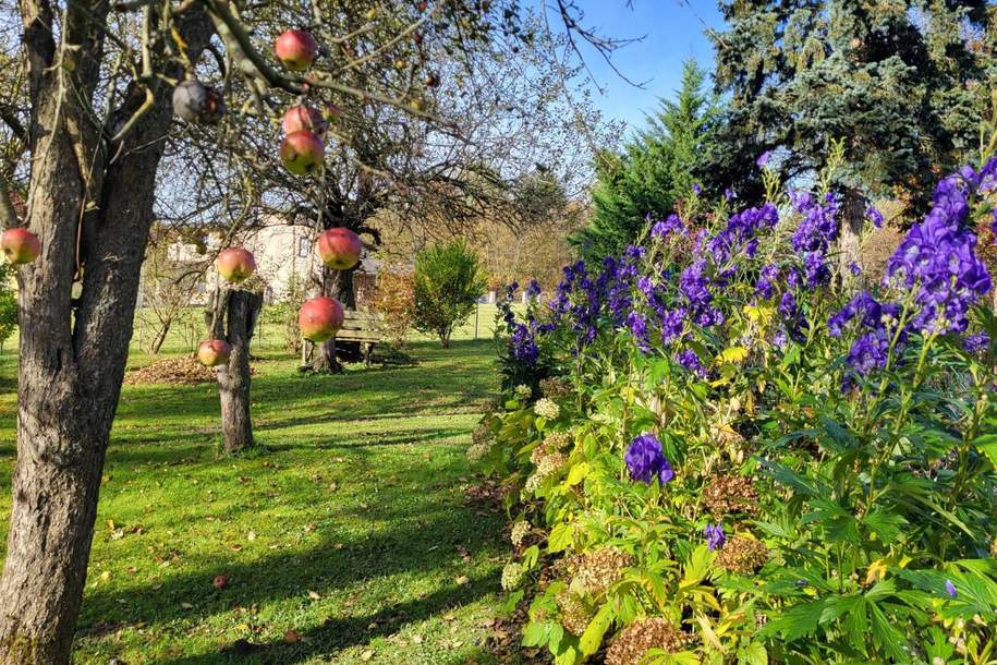 IDYLLISCHER LANDSITZ AUF ca. 3200m² BAULAND-AGRARGEBIET MIT VORRÜBERGEHENDEM WOHNRECHT ZU VERKAUFEN., Haus-kauf, 1.250.000,€, 2533 Baden