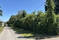 Landgut ca. 6800 m² in 2262 Stillfried