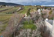 Traumhaftes Grundstück mit Hanglage und Blick auf die Weinberge