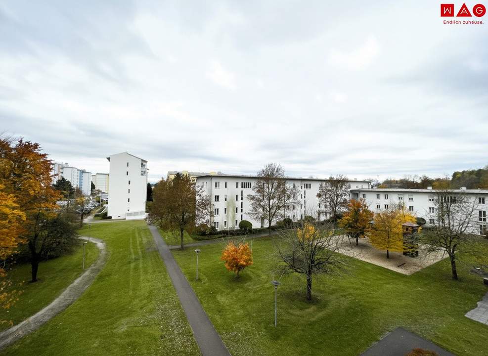 Linz-Oed: Dank vieler großer Fenster lichtdurchflutete 3-Zimmer-Wohnung mit Balkon & Autoabstellplatz in städtischer ruhiger Grünlage