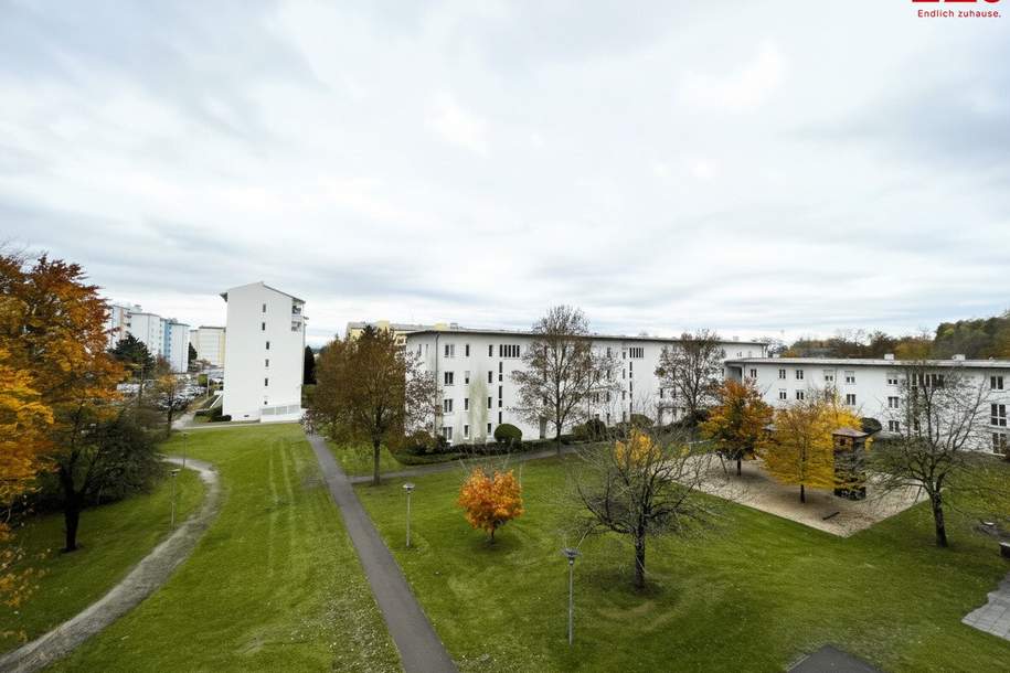 Linz-Oed: Dank vieler großer Fenster lichtdurchflutete 3-Zimmer-Wohnung mit Balkon & Autoabstellplatz in städtischer ruhiger Grünlage, Wohnung-kauf, 259.000,€, 4020 Linz(Stadt)