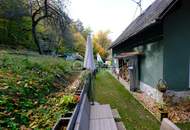 Kleines Juwel am Waldrand: liebevoll renoviertes Landhaus