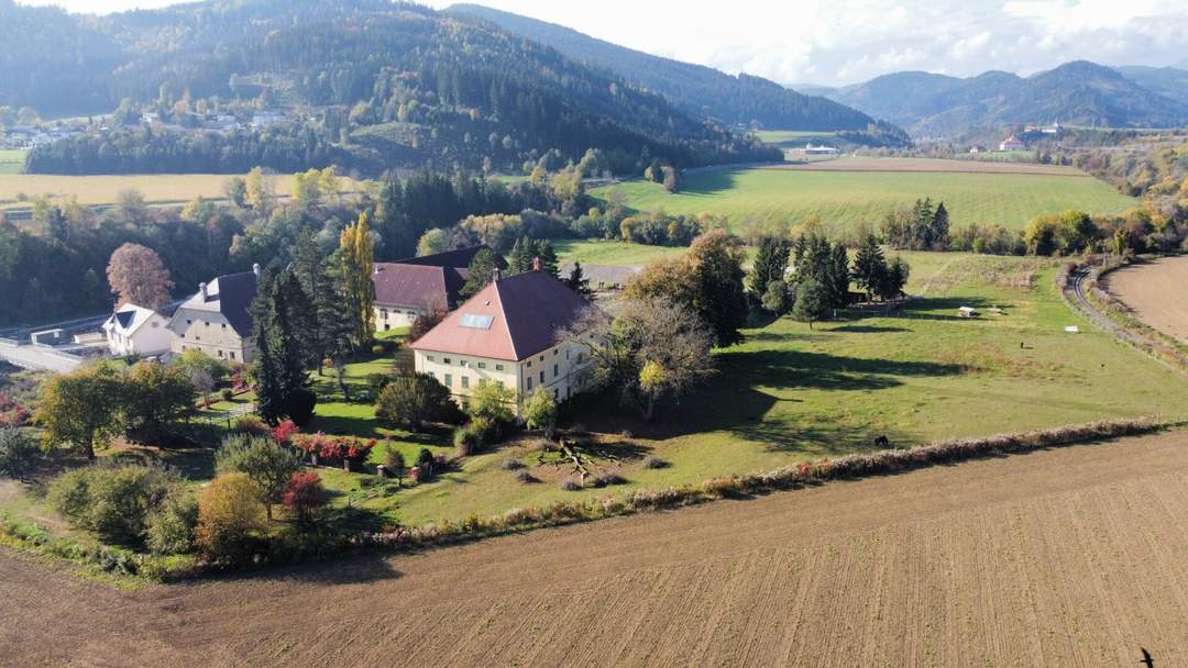 Österreich/Kärnten:Historischer Gutshof / Herrenhaus / Mansion in Kärnten Österreich!