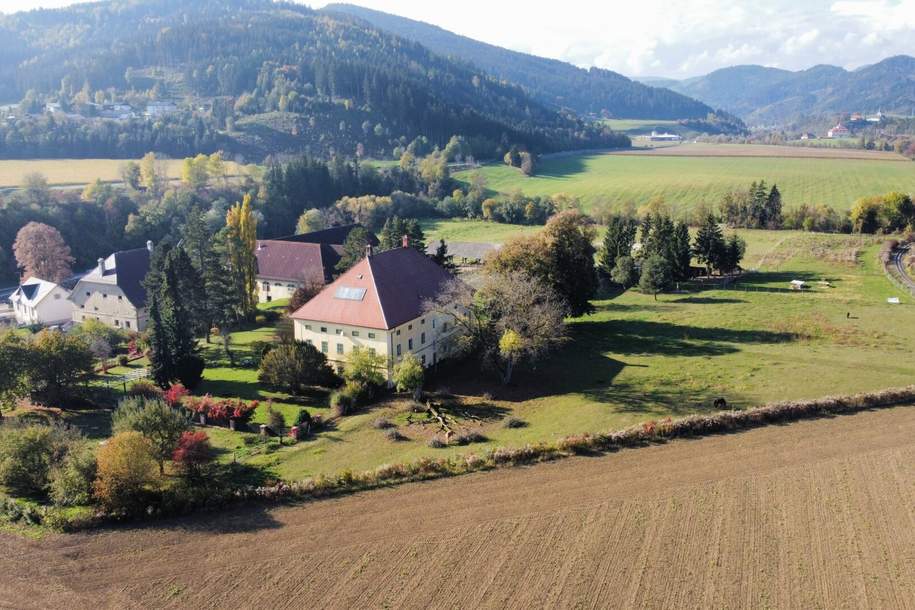 Österreich/Kärnten:Historischer Gutshof / Herrenhaus / Mansion in Kärnten Österreich!, Gewerbeobjekt-kauf, 2.950.000,€, 9330 Sankt Veit an der Glan