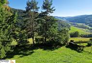 GRIMMENSTEIN! MITTEN IM GRÜNEN MIT ATEMBERAUBENDEM AUSBLICK!