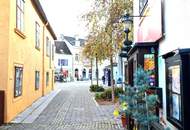 Topsaniert - Geschäftslokal/Praxis/Büro/Atelier mit Freifläche