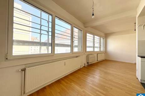 Laurenzi am Fluss, Wohnung-kauf, 380.000,€, 1010 Wien 1., Innere Stadt