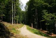 Traumanwesen in Alleinlage – 12.000 m² für Naturliebhaber und Pferdehalter