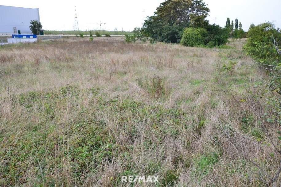 Lagerplatz, KFZ- Abstellflächen, Containerlager..., Gewerbeobjekt-miete, 190,00,€, 2325 Bruck an der Leitha