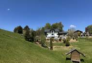 Wohntraum und Arbeiten im Grünen oder für Selbstversorger mit Grünland und 240 qm Wohnfläche!