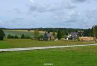 Großzügiges Grünland *NEUER PREIS* Vorsorgepotenzial in Voitschlag