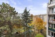 3 Zimmer-Loggia-Wohnung im 3. Liftstock