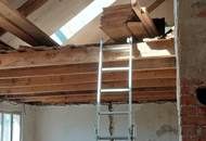 HISTORISCHER CHARME: BURGIDYLL - MODERNES DACH MIT ALTEN MAUERN IN MALERISCHER LANDSCHAFT