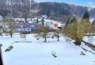 Vielseitige Liegenschaft mit großem Grundstück