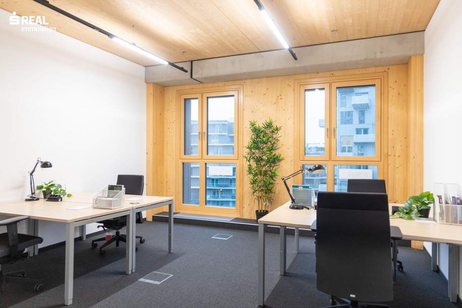 PRIVATE BÜROFLÄCHEN IN DER SEESTADT, Gewerbeobjekt-miete, 1220 Wien 22., Donaustadt