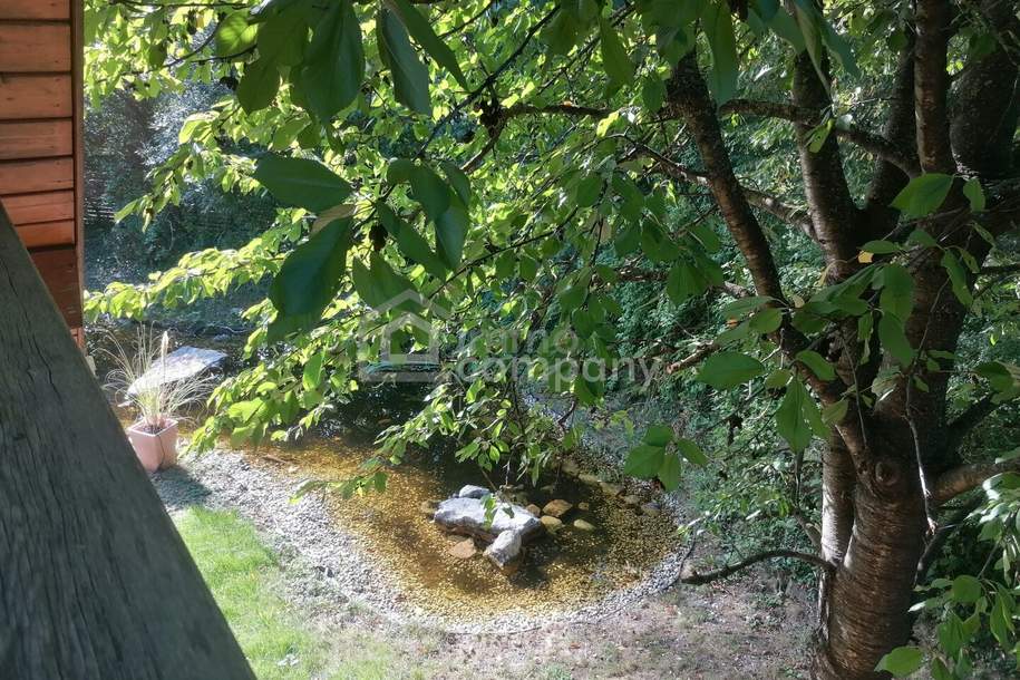 Modernes Öko-Fertigteilhaus mit großem Grundstück, PV-Anlage, Luftwärmepumpe &amp; idyllischem Garten in Markt Piesting, Haus-kauf, 569.000,€, 2753 Wiener Neustadt(Land)