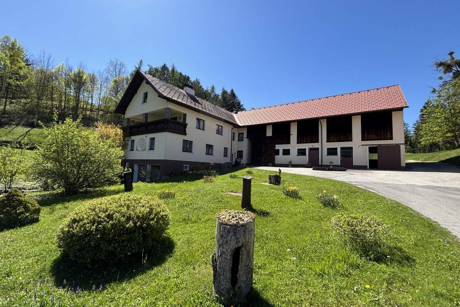 Sehr gepflegtes Bauernhaus in Alleinlage, Haus-kauf, 895.000,€, 4591 Kirchdorf an der Krems