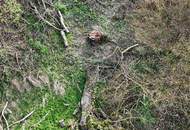 "Baugrund mit grandioser Aussicht"