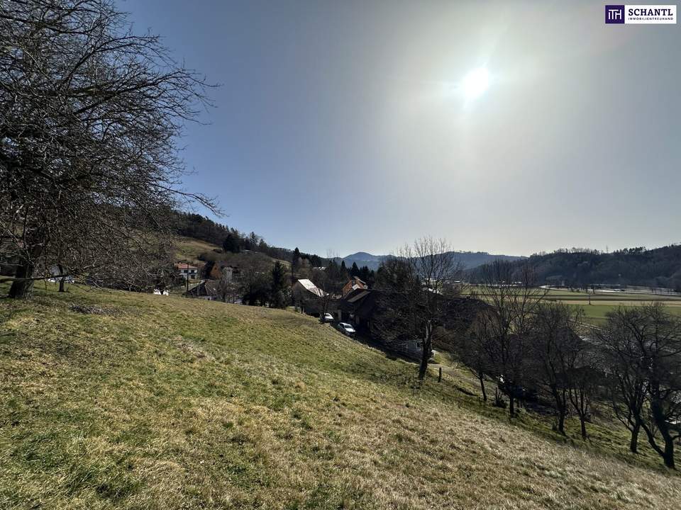 7 Parzellen verfügbar - Tolles Baugrundstück am Sonnenhang in Prenning bei Deutschfeistritz – 3.700 m², aufteilbar in 7 Parzellen