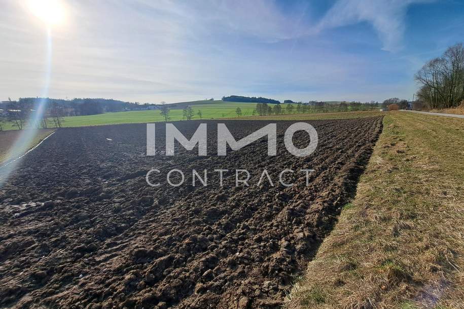 Schöne landwirtschaftliche Flächen in Neukirchen bei Lambach im Ausmaß von ca. 16.400 m², Grund und Boden-kauf, 254.000,€, 4671 Wels-Land