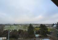 Geräumiges Einfamilienhaus mit Garten in Nussdorf und Blick in die Weingärten - 5 SZ und 4 Bäder