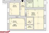 3-Zimmer-Wohnung | NEU SANIERT | GRAZ GÖSTING