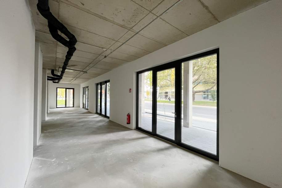Repräsentatives Geschäftslokal | 232 m² | Moderne Neubaufläche, Gewerbeobjekt-miete, 3.973,91,€, 8020 Graz(Stadt)