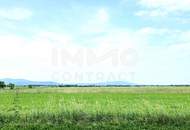 Hier beginnt Ihr Traum vom Eigenheim – großes Grundstück in idyllischer Lage