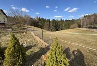 Großes Land- &amp; Forstanwesen – Zwei Wohneinheiten, Wald und Wiesen