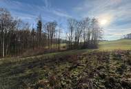 WOHNEN AUF HÖCHSTEM NIVEAU - SÜDHANG IN RUHELAGE MIT ZENTRUMSNÄHE