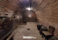 Mehrfamilienhaus mit großzügigem Grundstück und vielseitig nutzbaren Nebengebäuden in Traismauer