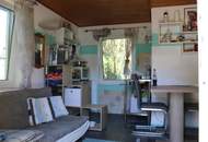 "Erste Reihe Alte Donau''