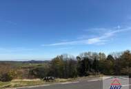 Kleines Knusperhaus mit Wohnrecht!