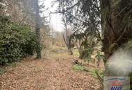 Haushälfte mit einer Wohnung für geschickte Heimwerker und einen schönen Garten in Langenzersdorf!
