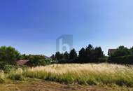 MIT BLICK ZUM LEITHAGEBIRGE UND NEUSIEDLERSEE