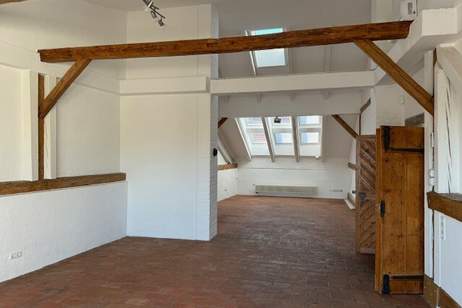 extravagantes Penthouse Appartement - riesige Dachterrasse - mitten im Zentrum, Wohnung-miete, 1.575,00,€, 2620 Neunkirchen