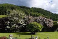 Wohn- und Geschäftshaus mit großem Garten in St. Stefan ob Leoben