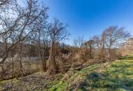 8798 m² WEINGARTEN IN DEN HÜGELN VON FAHNDORF - PANORAMALAGE!
