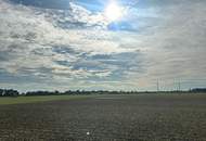 FERTIGSTELLUNG 2026 - naturnahes Wohnen im SIEDLUNGSGEBIET in OFTERING - großzügige Gartenflächen ab 342 m² - 10 Einheiten verfügbar - (Förderung möglich) - MUSTERHAUS ZUR BESICHTIGUNG VORHANDEN