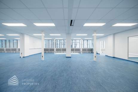 Modernes 5-Zimmer Büro in optimaler Lage! Nähe Schwarzenbergplatz, Gewerbeobjekt-miete, 9.117,13,€, 1030 Wien 3., Landstraße