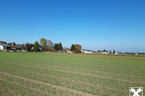 Baugrundstück am Feldesrand, Grund und Boden-kauf, 290.000,€, 2486 Baden
