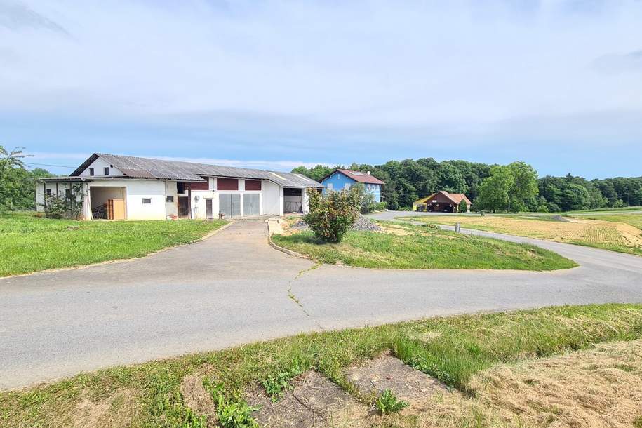 Nebengebäude im Bauland auf einer Bergkuppe in Ruhelage - Obstgarten- Freilandgrundzukauf möglich, Haus-kauf, 115.000,€, 8093 Südoststeiermark