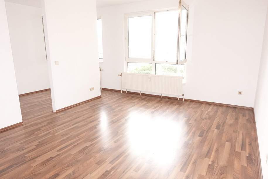 Geräumige Garçonnière - zwischen Matzleinsdorfer Platz und Waldmüllerpark, Wohnung-miete, 685,24,€, 1100 Wien 10., Favoriten