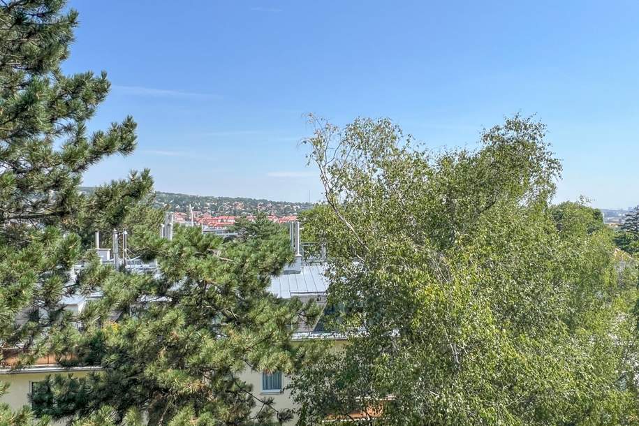 Herrlicher Grünblick in Toplage - 3. OG ohne Lift, Wohnung-kauf, 199.000,€, 1130 Wien 13., Hietzing