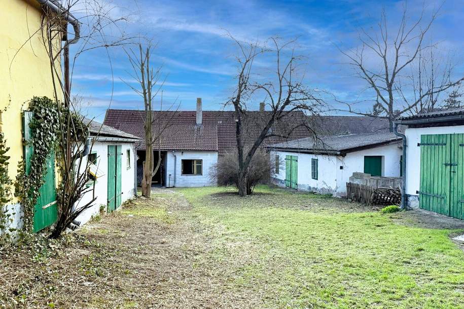 BAUERNHOF MIT MEHREREN GEBÄUDEN - PRESSHAUS&amp; GEWÖLBEKELLERN – SANIERUNGSBEDARF MIT VIEL POTENZIAL, Haus-kauf, 95.000,€, 3721 Hollabrunn