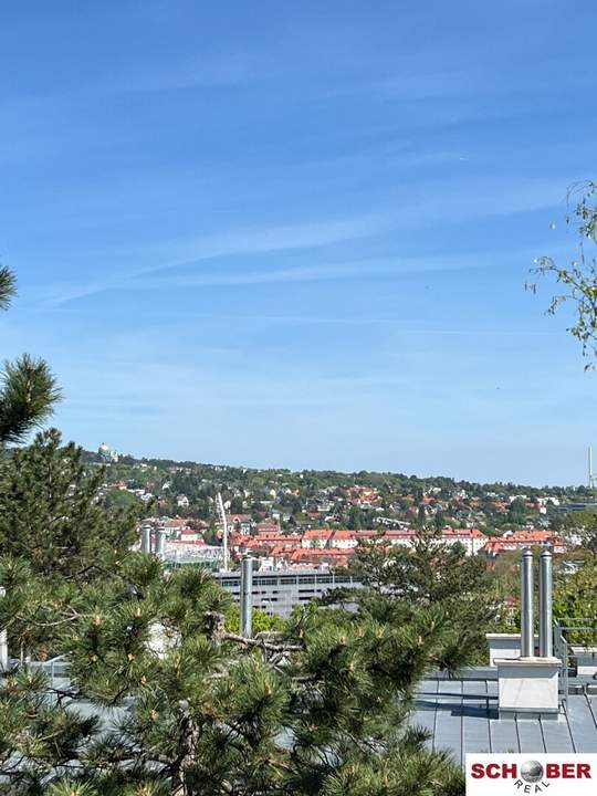 Dachgeschosswohnung mit Ausblick