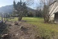 Grundstück in Pitten zu verkaufen